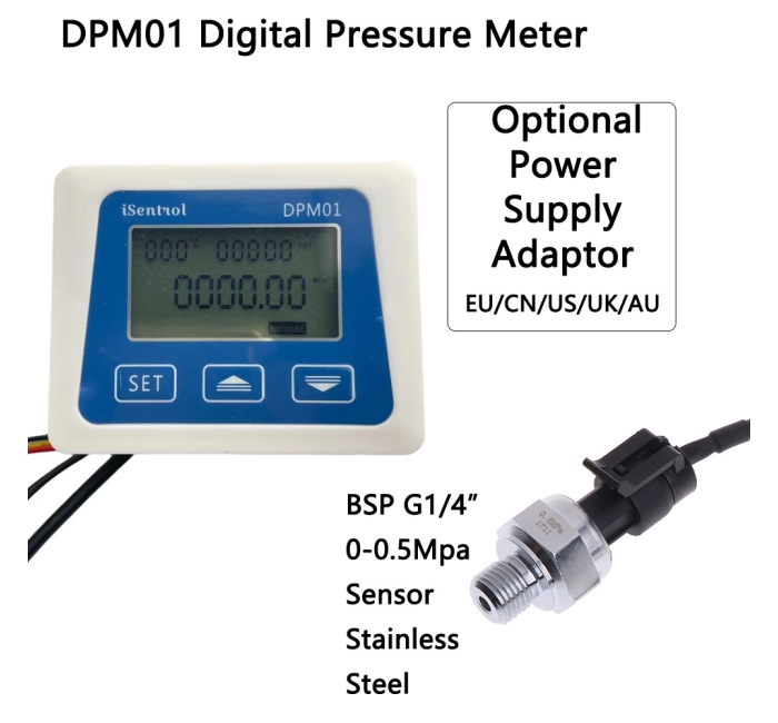 DPM01